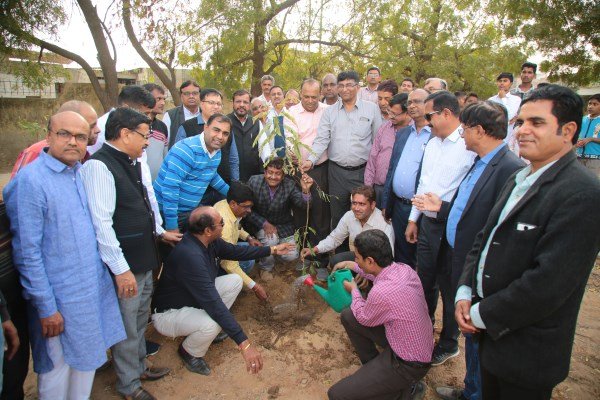 MIA Tree Plantation in the memories of Pulwama attack sacrifice Soldiers and Opening of RIICO Safai Pankhwada