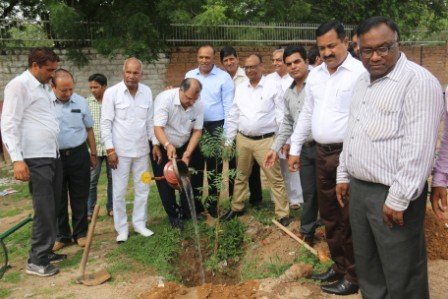 MIA 15-aug-2015-Tree Plantation