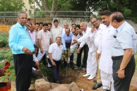 MIA 15-aug-2015-Tree Plantation