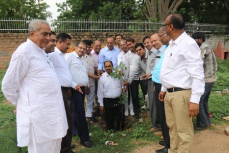 MIA 15-aug-2015-Tree Plantation