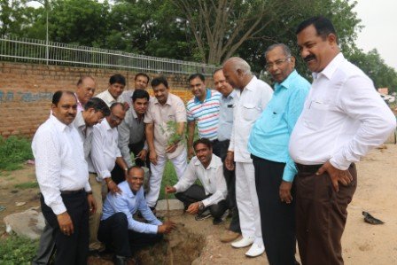 MIA 15-aug-2015-Tree Plantation