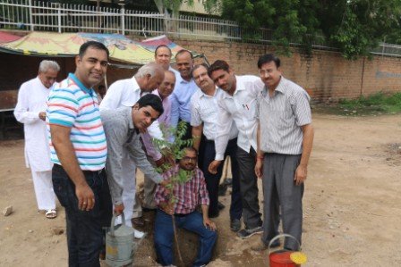 MIA 15-aug-2015-Tree Plantation